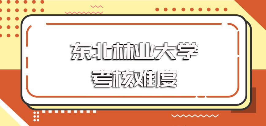 东北林业大学在职博士单证和双证进修方式的主要考核难度