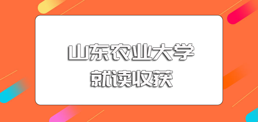 山东农业大学在职博士的师资力量以及就读之后的收获介绍