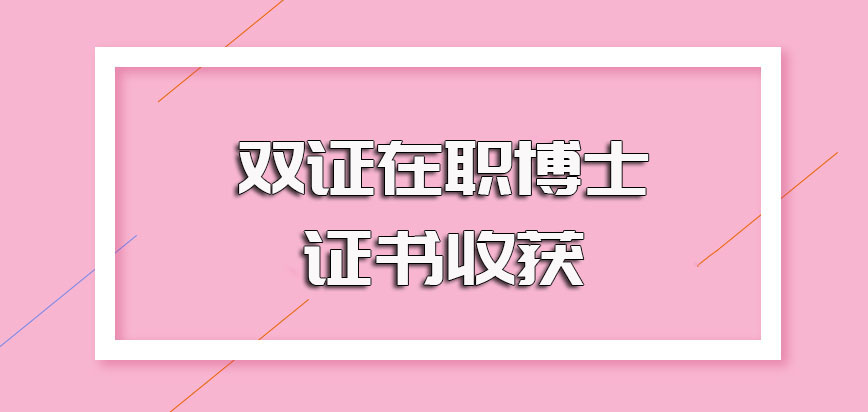 双证在职博士的报考拿证流程以及最终的证书收获实际情况