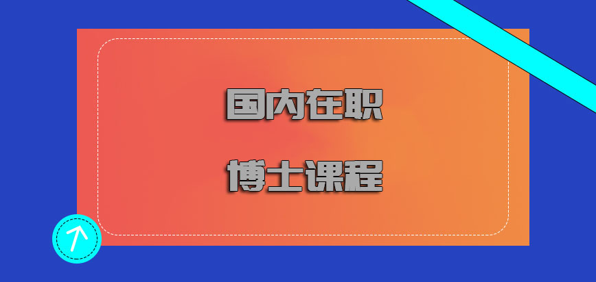 国内在职博士课程