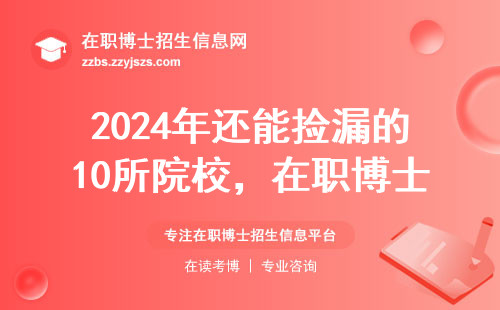 2024年还能捡漏的10所院校，在职博士招生信息汇总