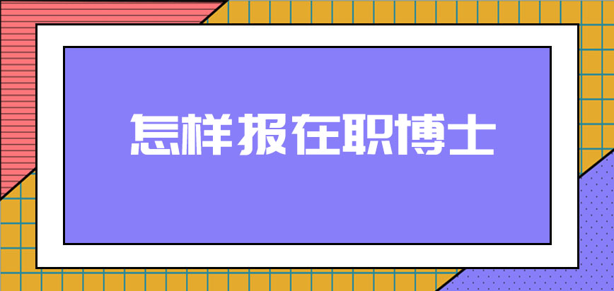 怎样报在职博士安排在几月份呢