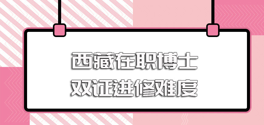 西藏在职博士进修有可以获得双证的方式只不过进修有一定难度