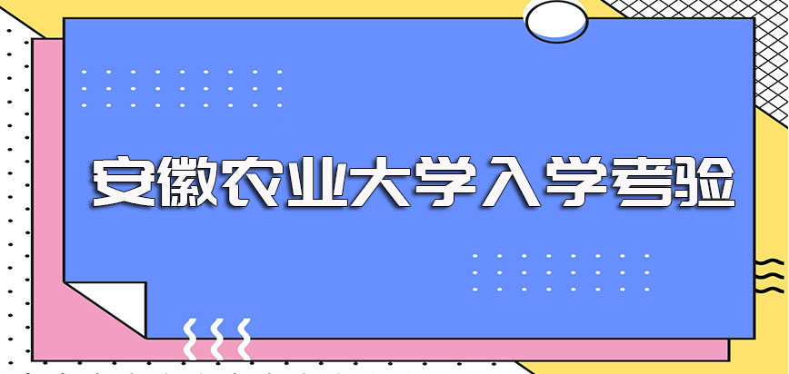 安徽农业大学在职博士入学的考验以及每年的报名及考试时间介绍