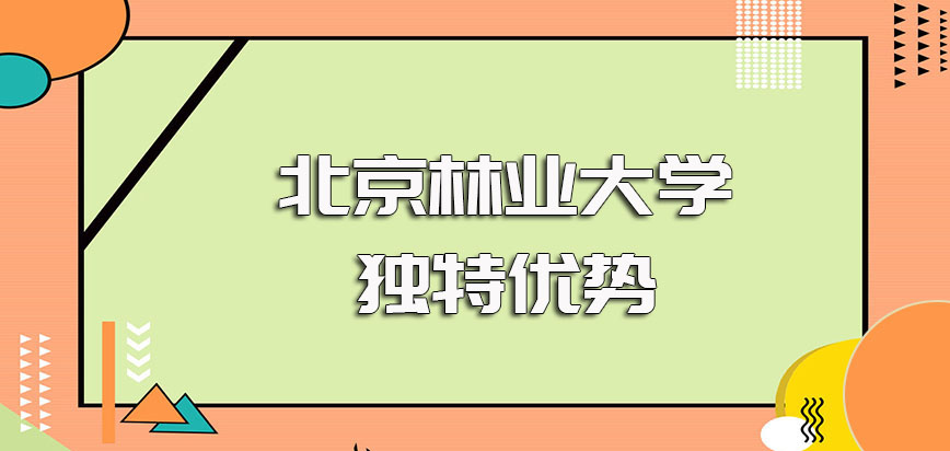 北京林业大学在职博士进修的独特优势以及进修之后的高回报性介绍