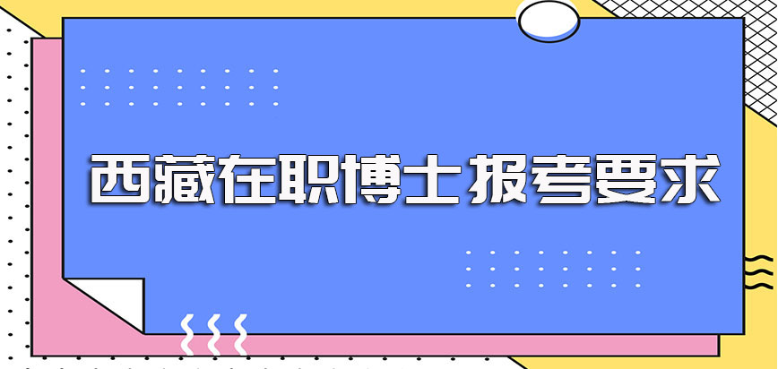 只有本科学历学位水平想要报考西藏在职博士需要满足的额外要求介绍